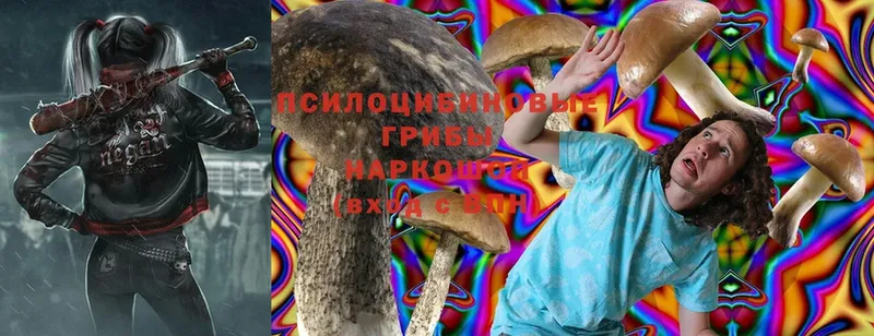 Псилоцибиновые грибы ЛСД  Барнаул 